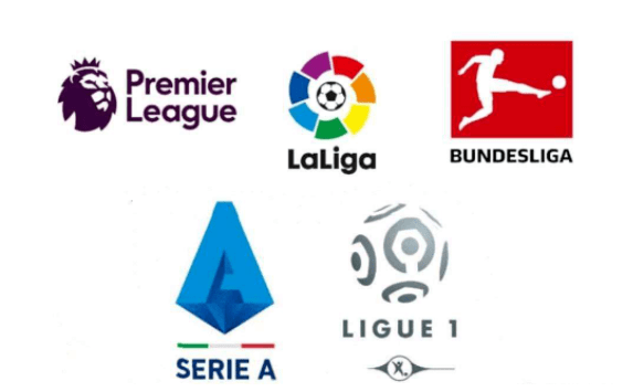 也期待其他 也期待其他