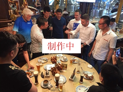 查迫使头部